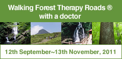 Walking Forest Therapy Roads ® with a doctor