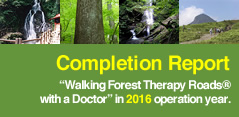 Completion Report Walking Forest Therapy Roads® with a Doctor in 2016 operation year.