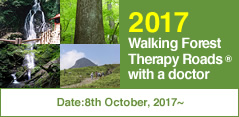 Completion Report Walking Forest Therapy Roads® with a Doctor in 2016 operation year.