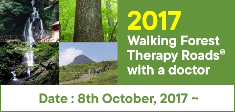 Completion Report Walking Forest Therapy Roads® with a Doctor in 2016 operation year.