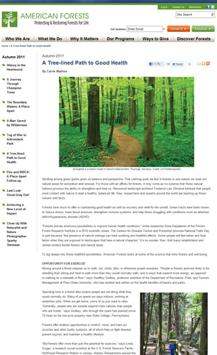 American Forests Magazine reported the research on Forest Medicine conducted in Japan.